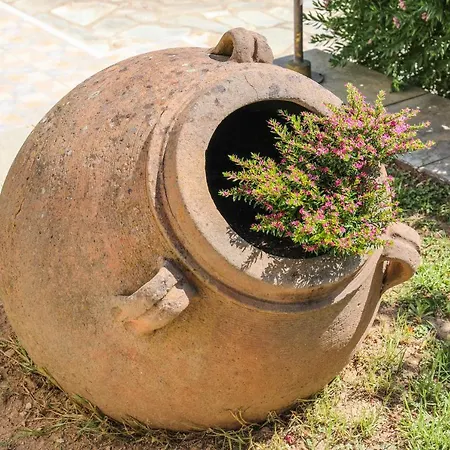 Pandora Skiathos Ξενοδοχείο Κολιός