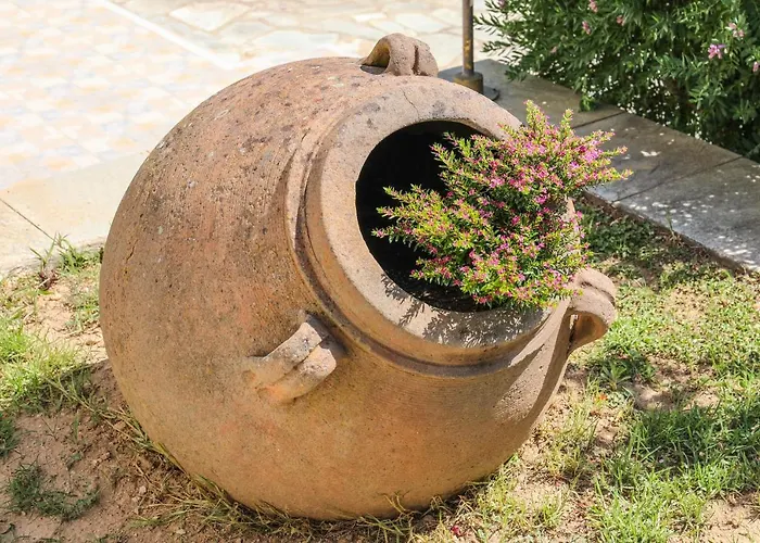 Pandora Skiathos Hotel Kolios